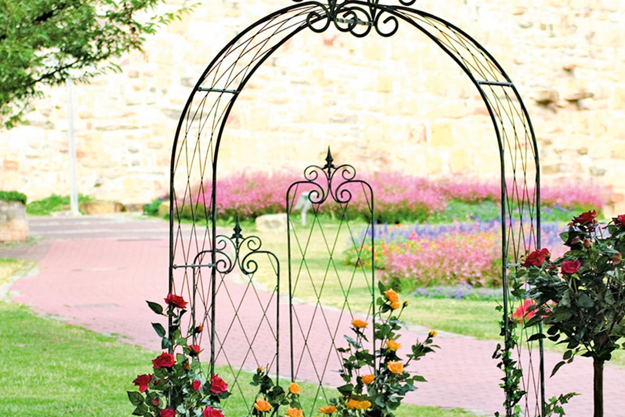 Gartenszene mit Rosenbogen und blühenden Rosen