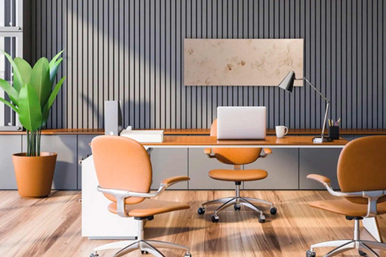 Büro mit Schreibtisch, Bürostühlen und Zimmerpflanze