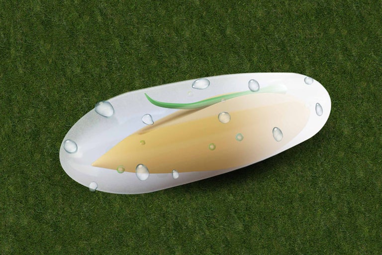 Samenspender auf Gras