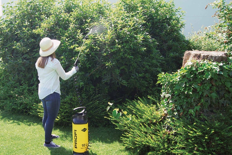 Frau verwendet eine Gartenspritze zur Pflanzenpflege