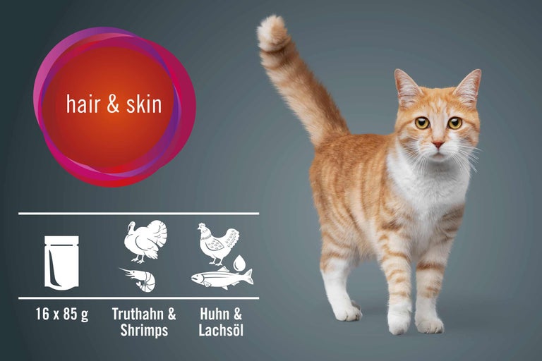Katzenfutter für Fell und Haut mit Truthahn, Shrimps, Huhn und Lachsöl