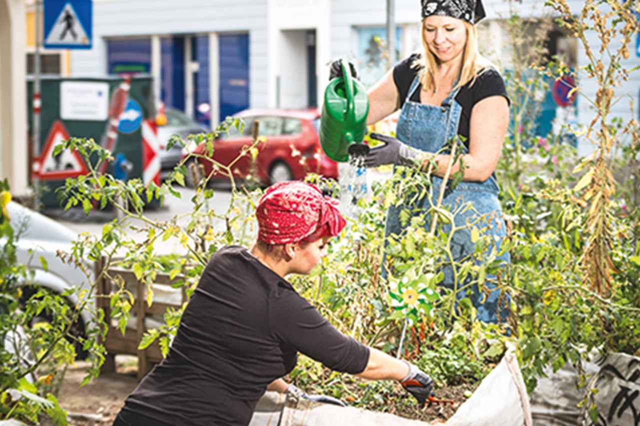 Zwei Frauen gießen und bepflanzen ein Hochbeet im Freien mit Gemüsepflanzen.