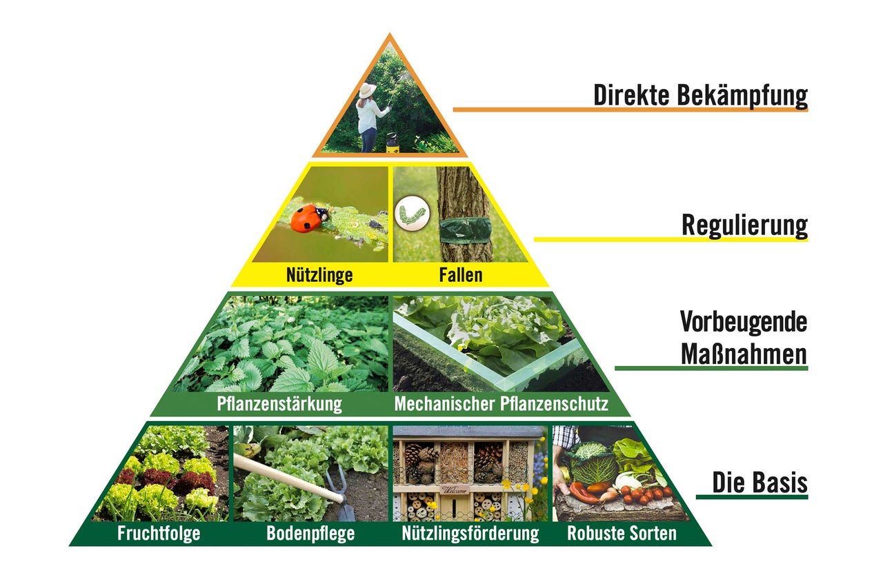Pyramide der Strategien zum Pflanzenschutz