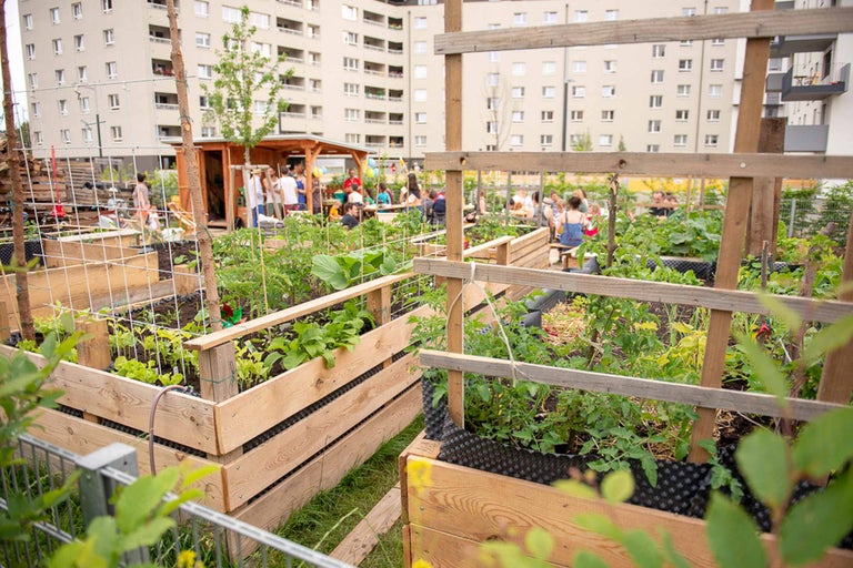Gemeinschaftsgarten mit Hochbeeten aus Holz und Menschen