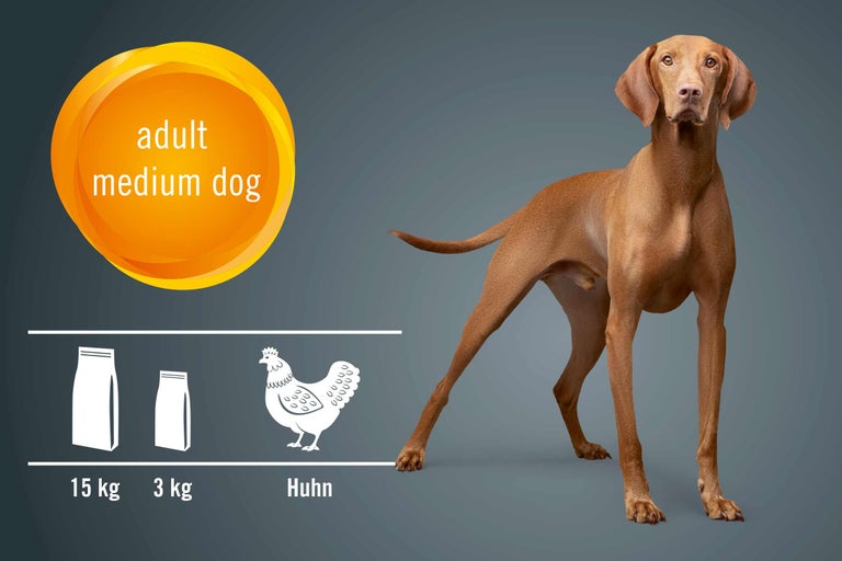 Symbolbild: Hundefutter für ausgewachsene, mittelgroße Hunde mit Huhn, erhältlich in 15 kg und 3 kg Packungen