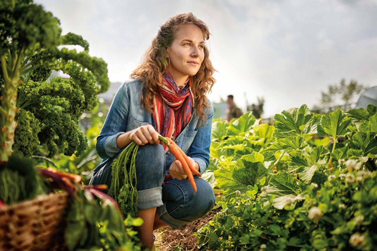 Eine Frau hockt in einem Garten und hält frisch geerntete Karotten.
