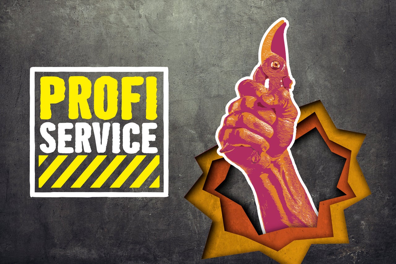 Profi Service Illustration mit Gartenschere