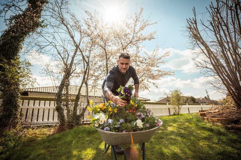 Frühling im Garten