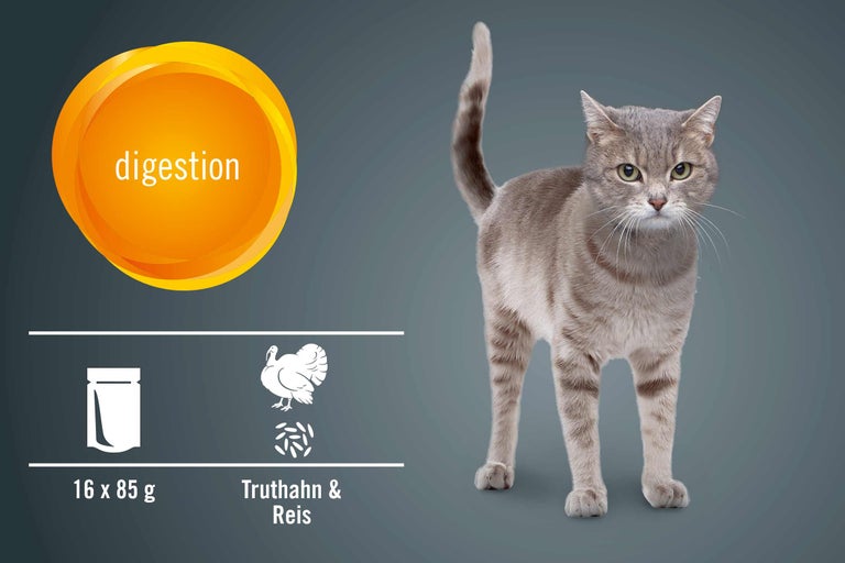 Katzenfutter für die Verdauung mit Truthahn und Reis in 16 Portionsbeuteln