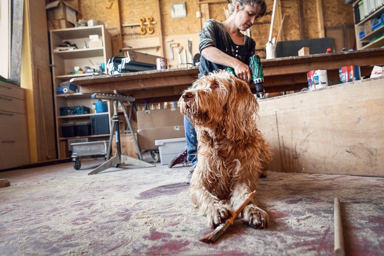 Frau arbeitet mit einem Akkuschrauber in einer Werkstatt, mit einem Hund im Vordergrund