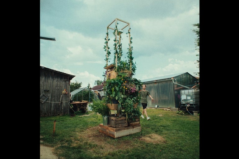 Garten mit Hochbeetkonstruktion aus Holz und bepflanzten Kästen, Gewächshaus und Mann