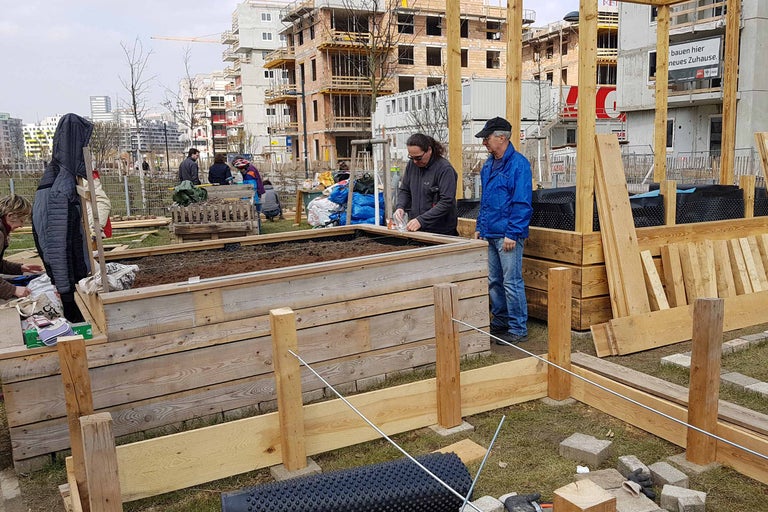 Personen bauen ein Hochbeet im Freien, Holzkonstruktion sichtbar
