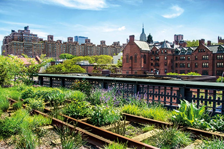 Die High Line in New York mit Bepflanzung, Gleisen und der Skyline im Hintergrund