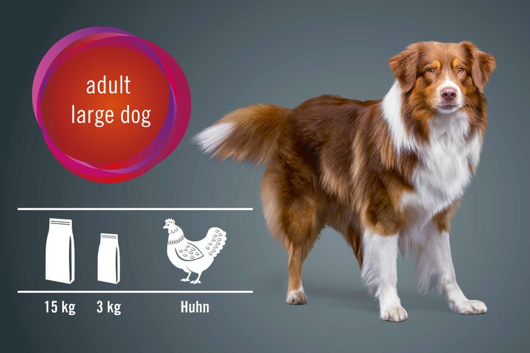 Illustration für Hundefutter für große, ausgewachsene Hunde mit Huhn, erhältlich in 15 Kilogramm und 3 Kilogramm Säcken
