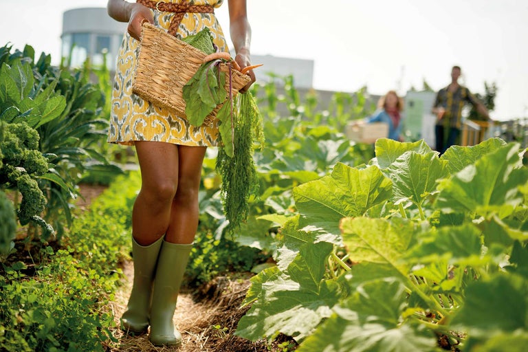 Frau im Gemüsegarten mit Korb voller Gemüse und Gummistiefeln