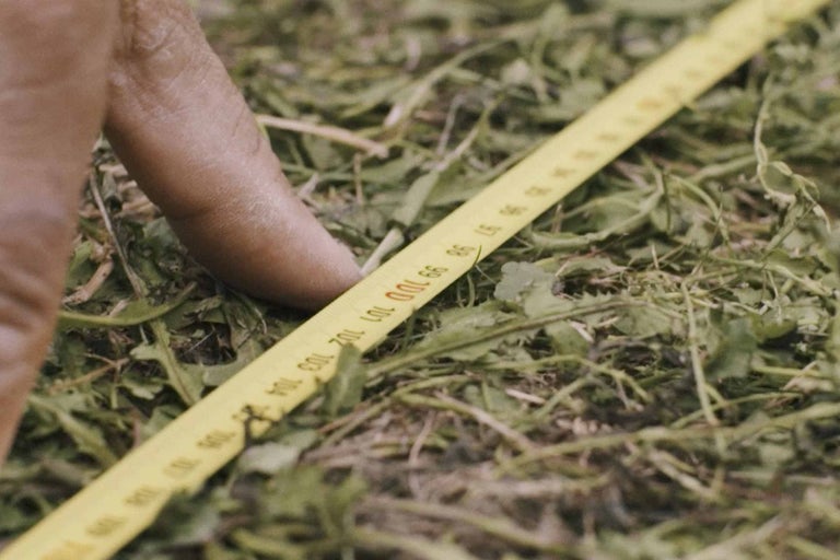 Gelbes Maßband liegt auf dem Gras