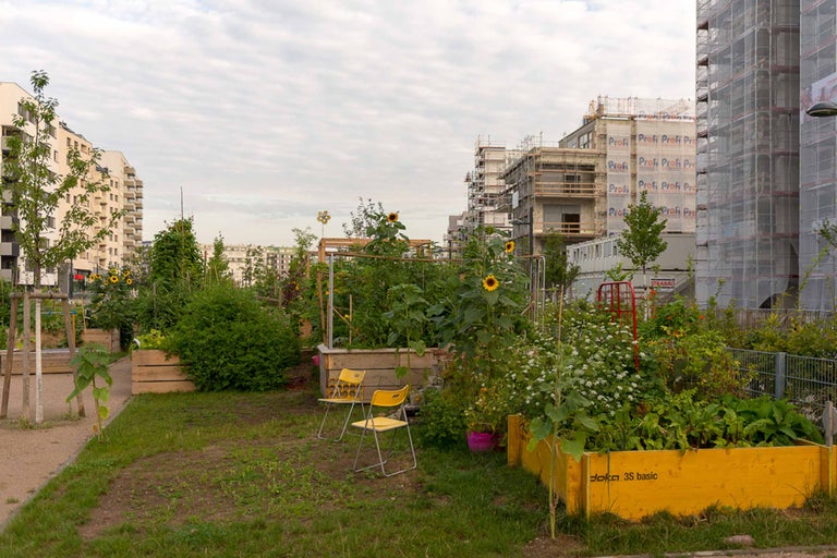 Kleingartenanlage mit Hochbeeten und Pflanzen vor Gebäuden
