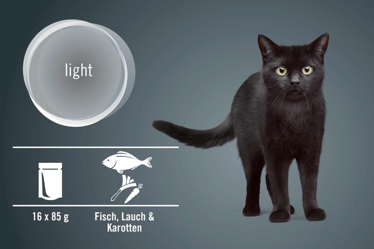 Katzenfutter mit Fisch, Lauch und Karotten, 16 mal 85 Gramm