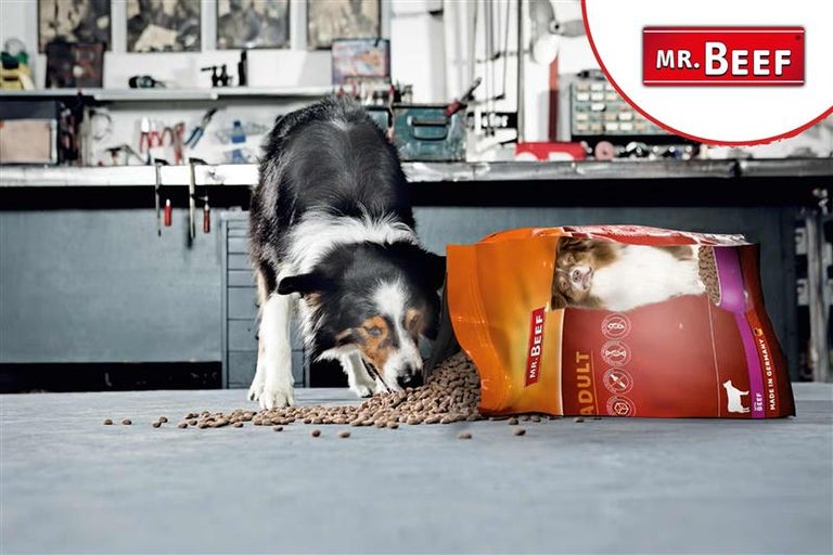 Mr. Beef