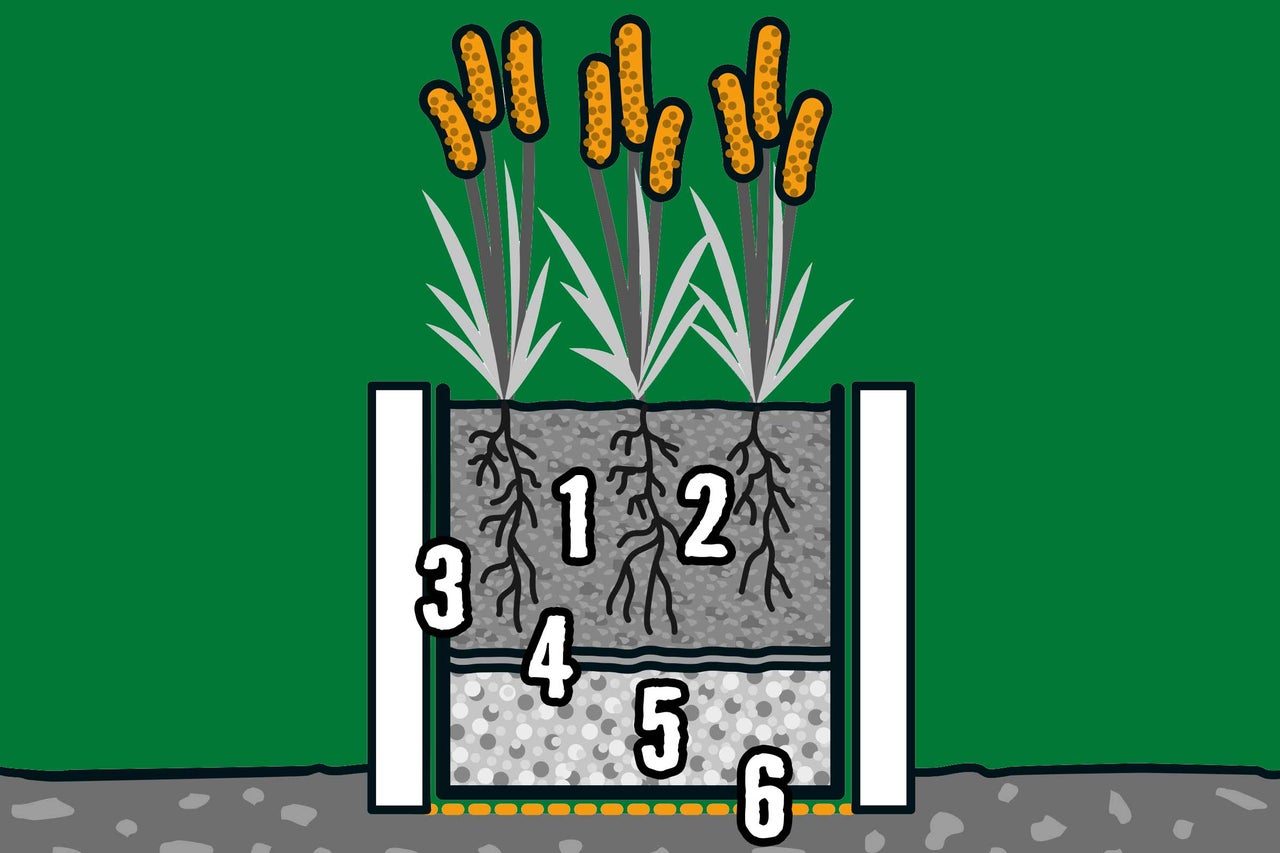 Illustration eines bepflanzten Behälters mit unterschiedlichen Schichten.