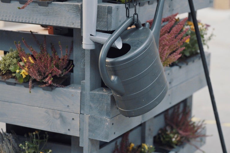 Gießkanne hängt an einem Pflanzenregal mit blühenden Pflanzen