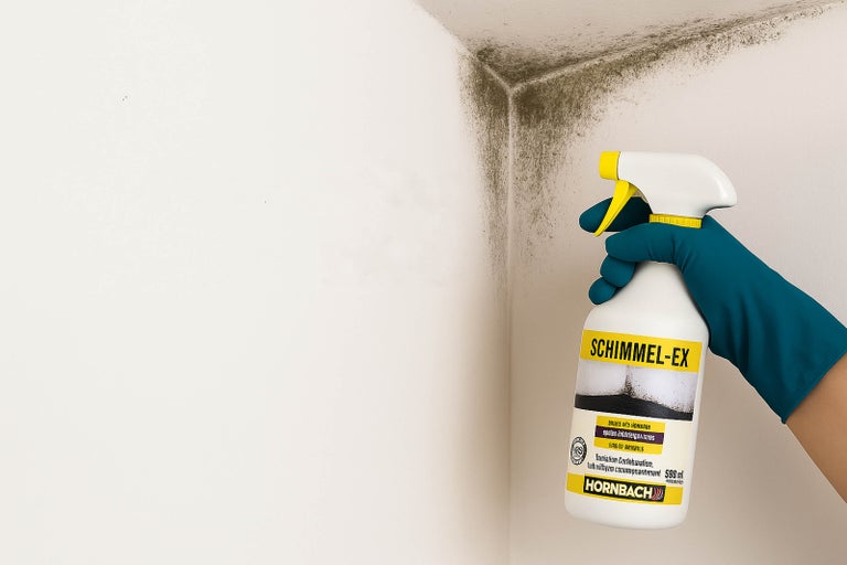Anwendung von Schimmelentferner im Innenbereich.