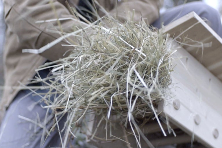 Heu zur Isolierung eines Vogelhauses