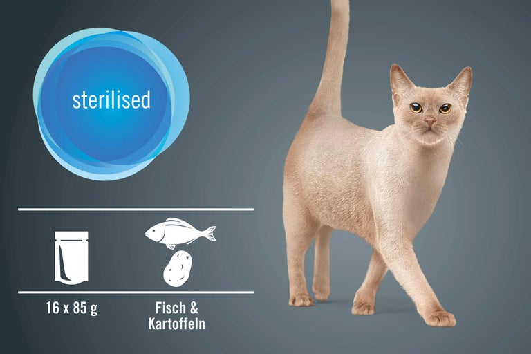 Katzenfutter für sterilisierte Katzen mit Fisch und Kartoffeln, 16 mal 85 Gramm