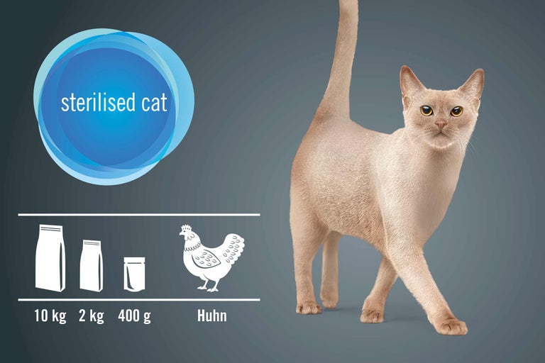 Katze und Symbole für Futtergewicht und Zutat Huhn für sterilisierte Katze