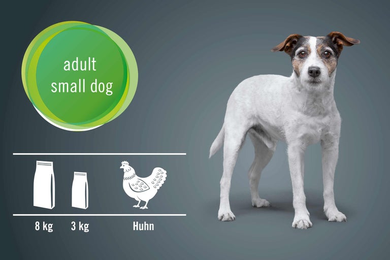 Illustration von Hundefutter für kleine, ausgewachsene Hunde mit Huhn, erhältlich in 8 Kilogramm und 3 Kilogramm Packungen