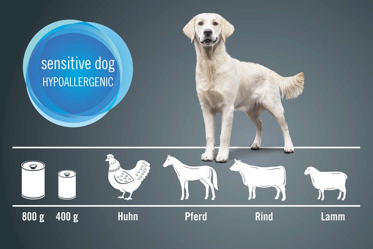 Illustration von hypoallergenem Hundefutter mit Huhn, Pferd, Rind und Lamm als Proteinquellen