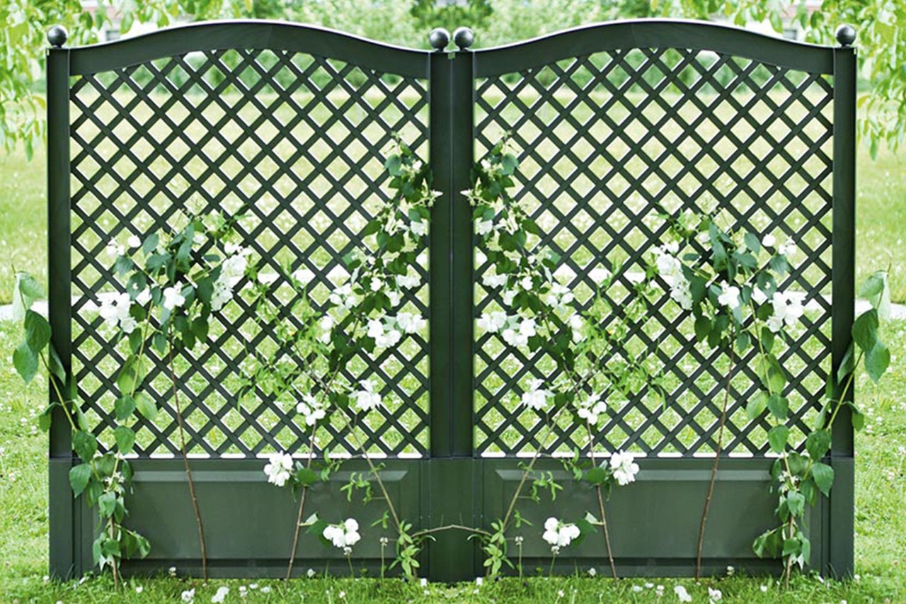 Gartenzaun mit Rankgitter und Pflanzen