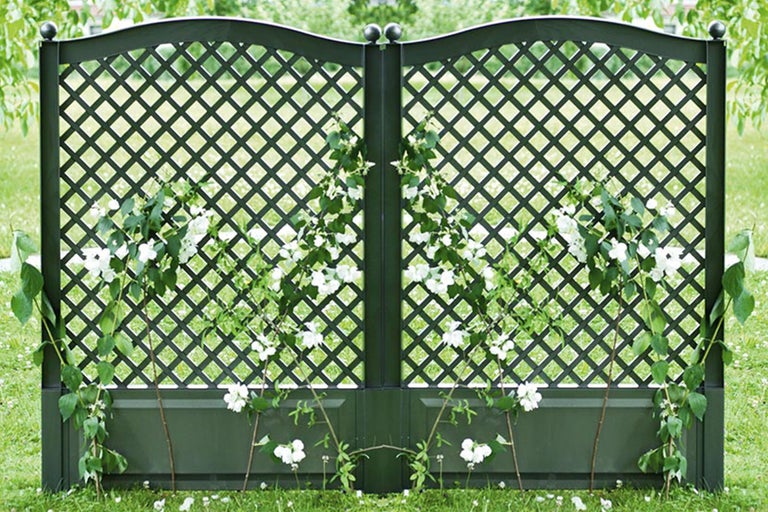 Gartenzaun mit Rankgitter und Pflanzen
