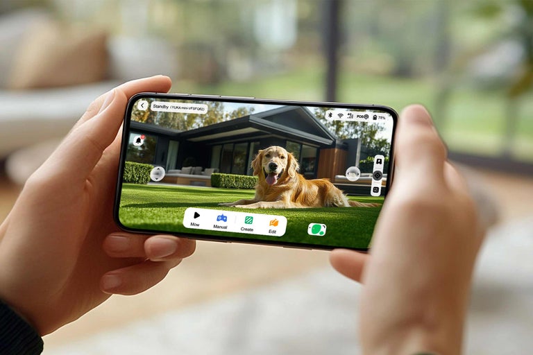 Ein Smartphone in den Händen zeigt ein Haus mit einem Hund im Garten, aufgenommen mit einer Überwachungskamera.
