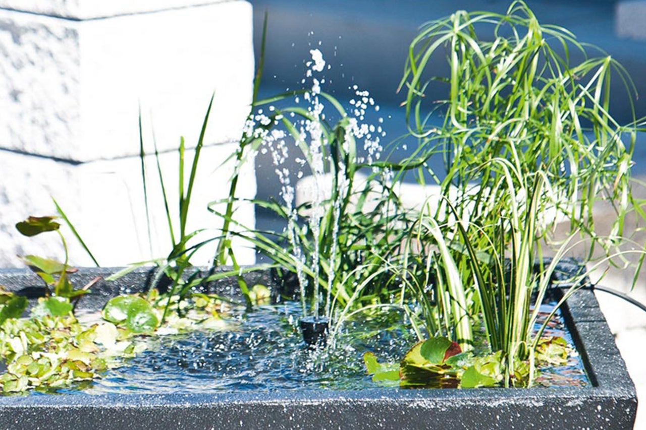 Dekorativer Teich mit Wasserspiel, Pflanzen und Seerosen