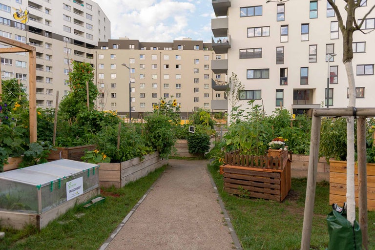 Gemeinschaftsgarten mit Hochbeeten, Wegen und umliegenden Gebäuden.