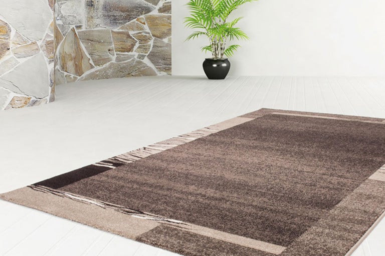 Moderner Teppich im Wohnraum mit Steindekor und Pflanze im Topf