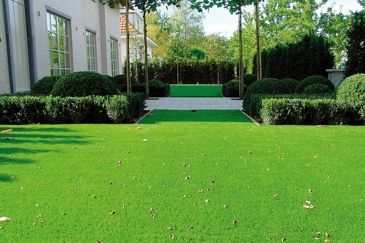 Garten mit Kunstrasen, Büschen und Bäumen
