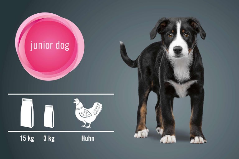 Illustration von Junior Hundefutter mit Huhn in 15 Kilogramm und 3 Kilogramm Packungen neben einem jungen Hund