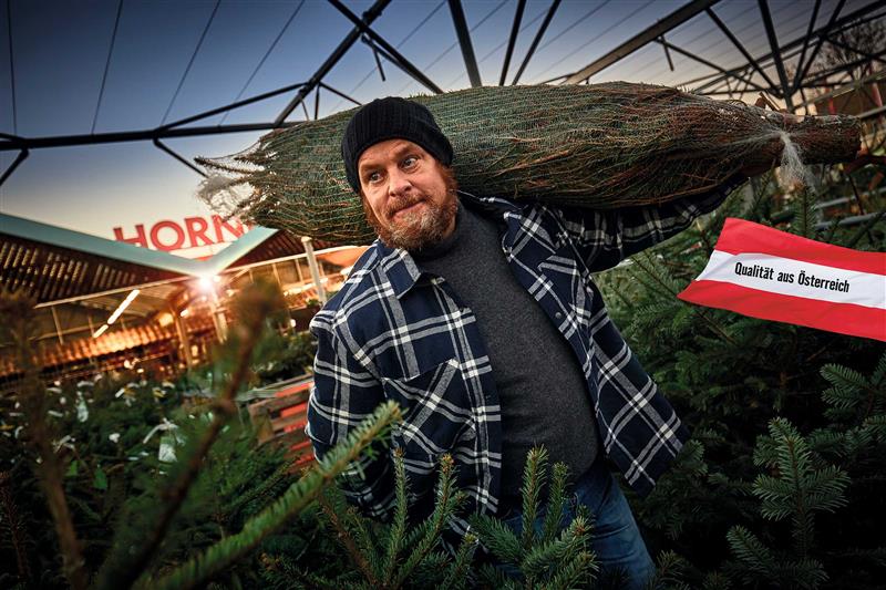 Mann trägt Weihnachtsbaum vor Hornbach Filiale. Qualität aus Österreich.
