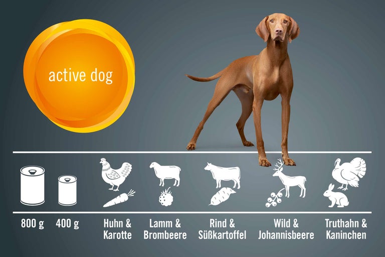 Hund und Zusammensetzung des Hundefutters für aktive Hunde mit Huhn, Lamm, Rind, Wild, Truthahn, Karotten, Brombeeren, Süßkartoffeln, Johannisbeeren und Kaninchen