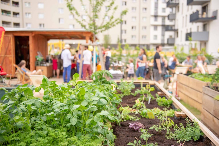 Gemeinschaftsgarten mit Hochbeeten und Besuchern im Hintergrund.