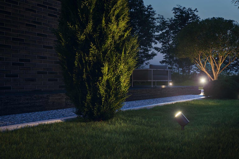 Garten mit Beleuchtung, Zypressenbaum und Zierpflasterweg