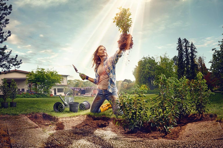 Frau pflanzt im Garten einen Strauch
