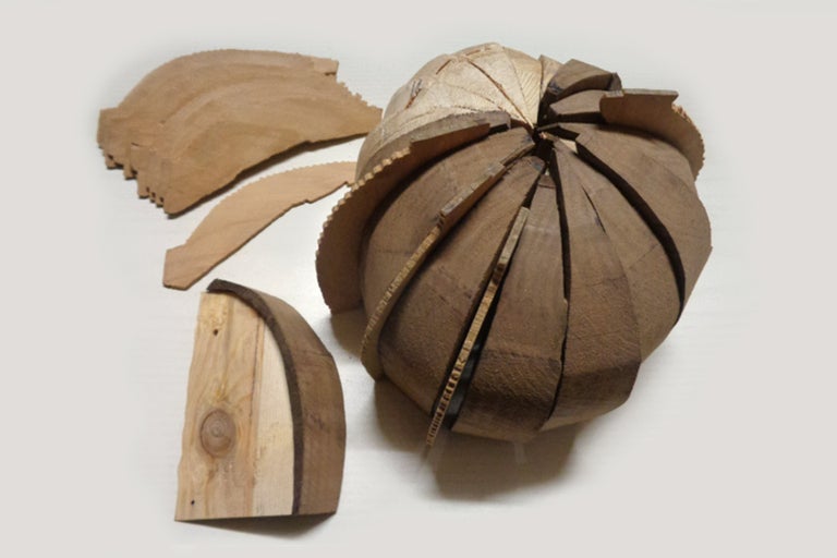 Holzkugel aus einzelnen Segmenten und Holzstücke