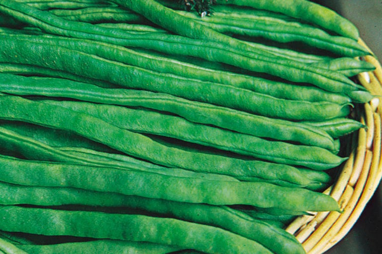 Grüne Bohnen in einem Korb