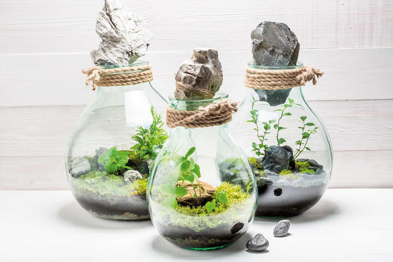 Drei Glasflaschen-Terrarien mit Steinen, Moos und Pflanzen, umwickelt mit Juteseil.