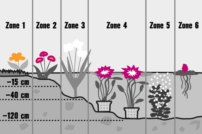 Illustration verschiedener Pflanzen in unterschiedlichen Bodentiefen