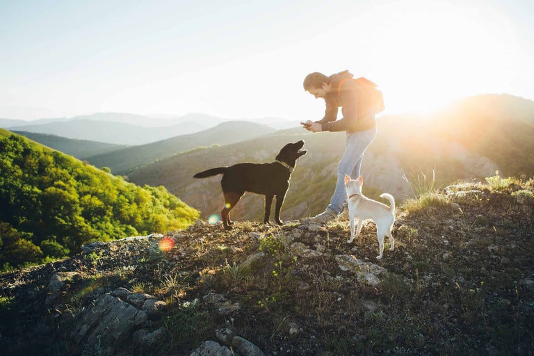 Ein Mann mit Rucksack macht ein Foto von zwei Hunden auf einem Hügel.