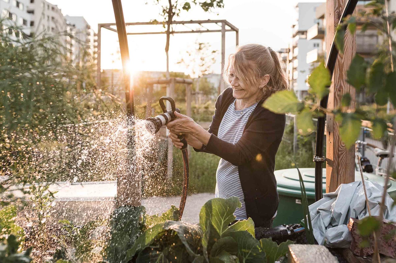 Frau gießt Pflanzen mit Gartenschlauch im Garten.